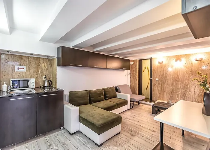 Modern Apartment in Piata Sfatului